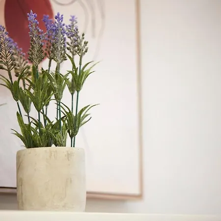 Chrissula Homeleader