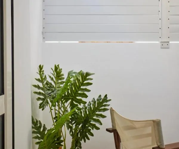 Chrissula Homeleader *