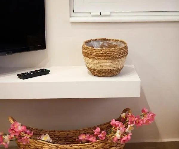 Chrissula Homeleader 公寓 干尼亞