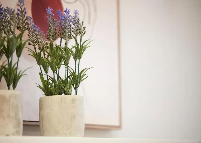 Chrissula Homeleader